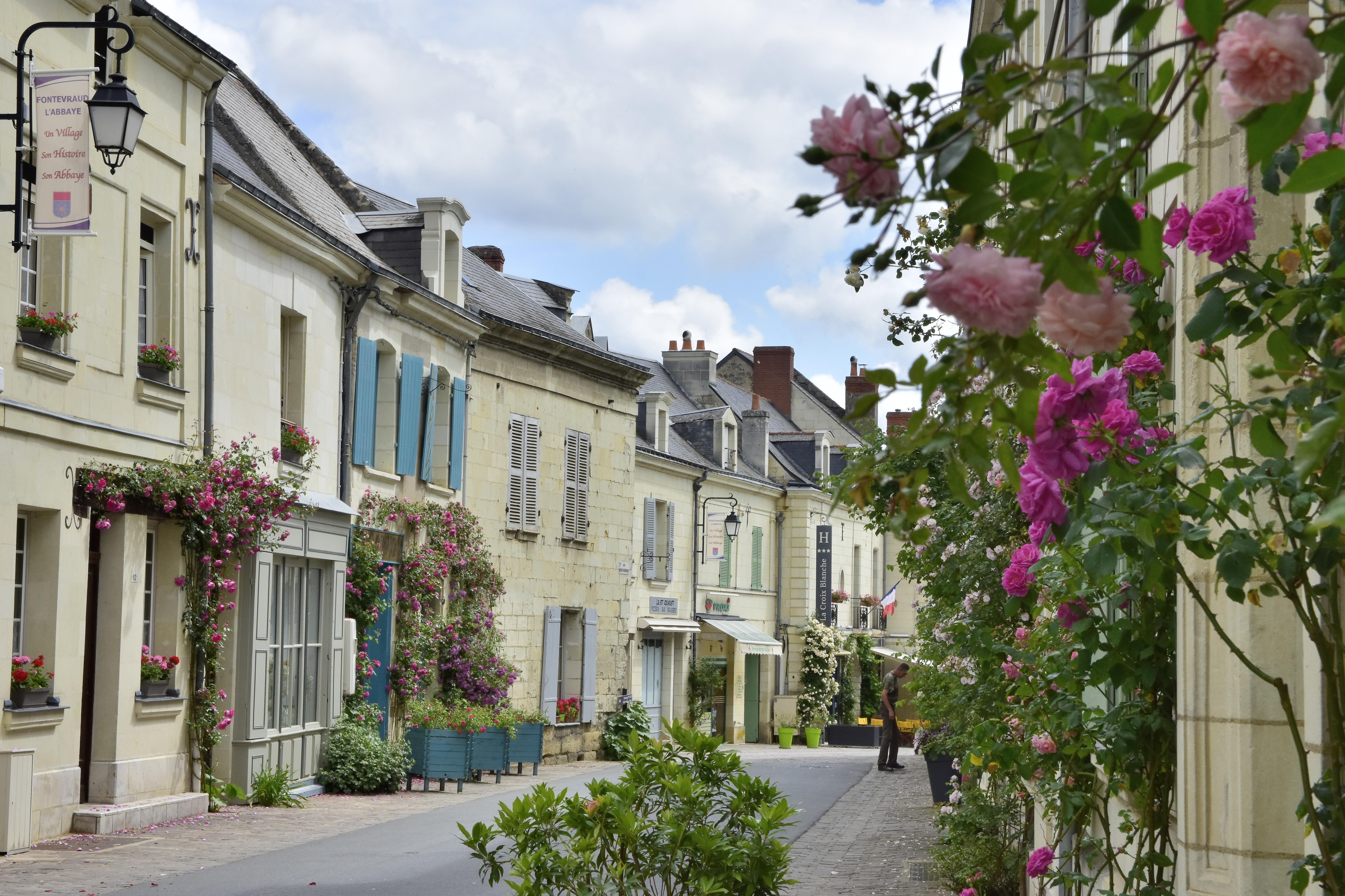 Logis Hotel La Croix Blanche Fontevraud מראה חיצוני תמונה